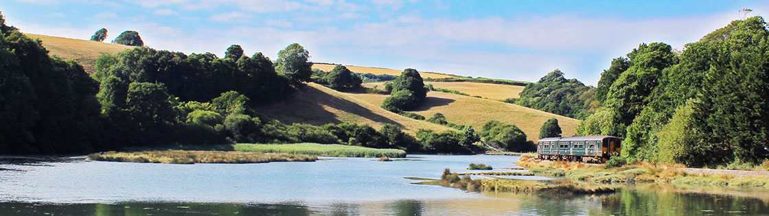 train-on-the-looe-valley-line Train on the Looe Valley Line